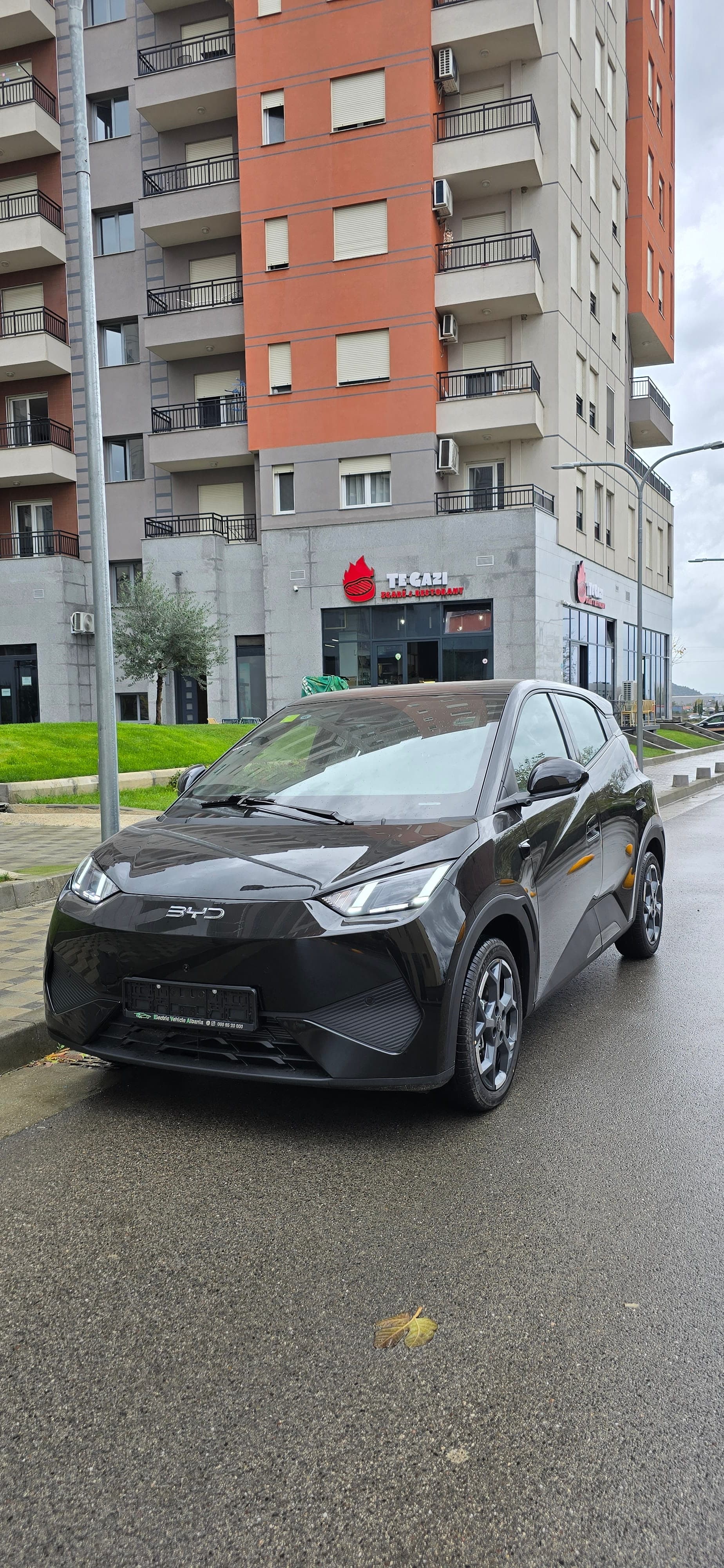 BYD Seagull thumbnail 2