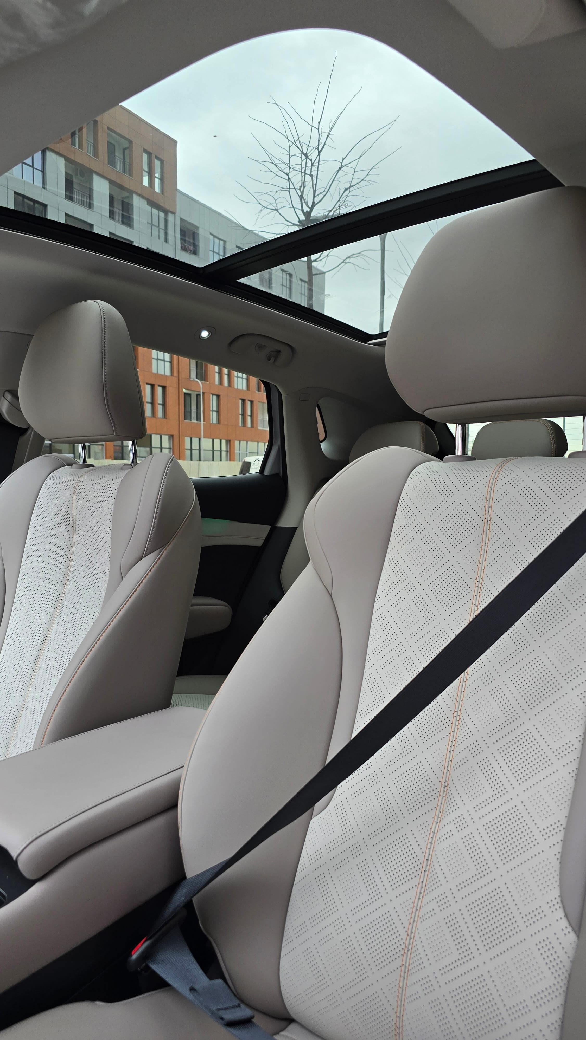 BYD Yuan Plus (Atto 3) thumbnail 7