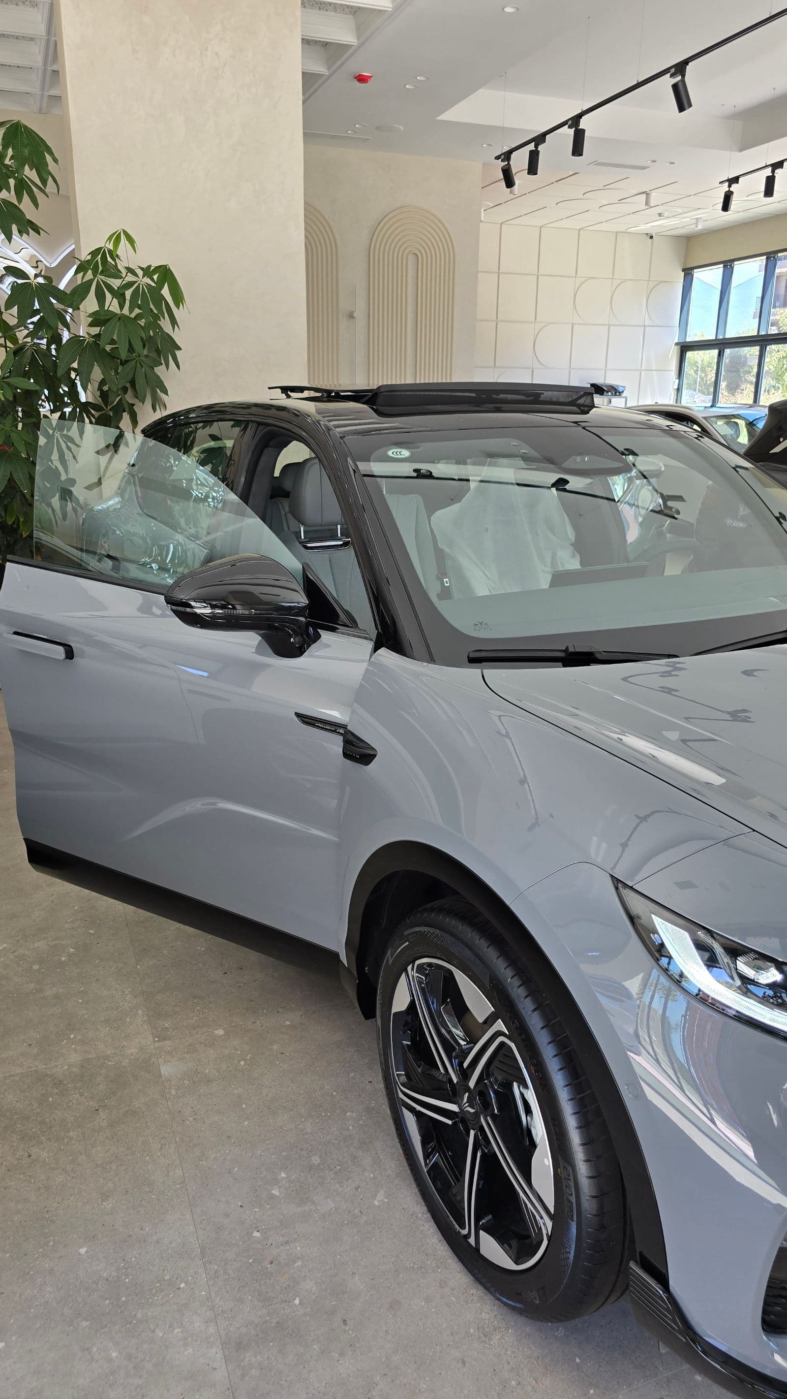 Dongfeng Voyah Courage thumbnail 7