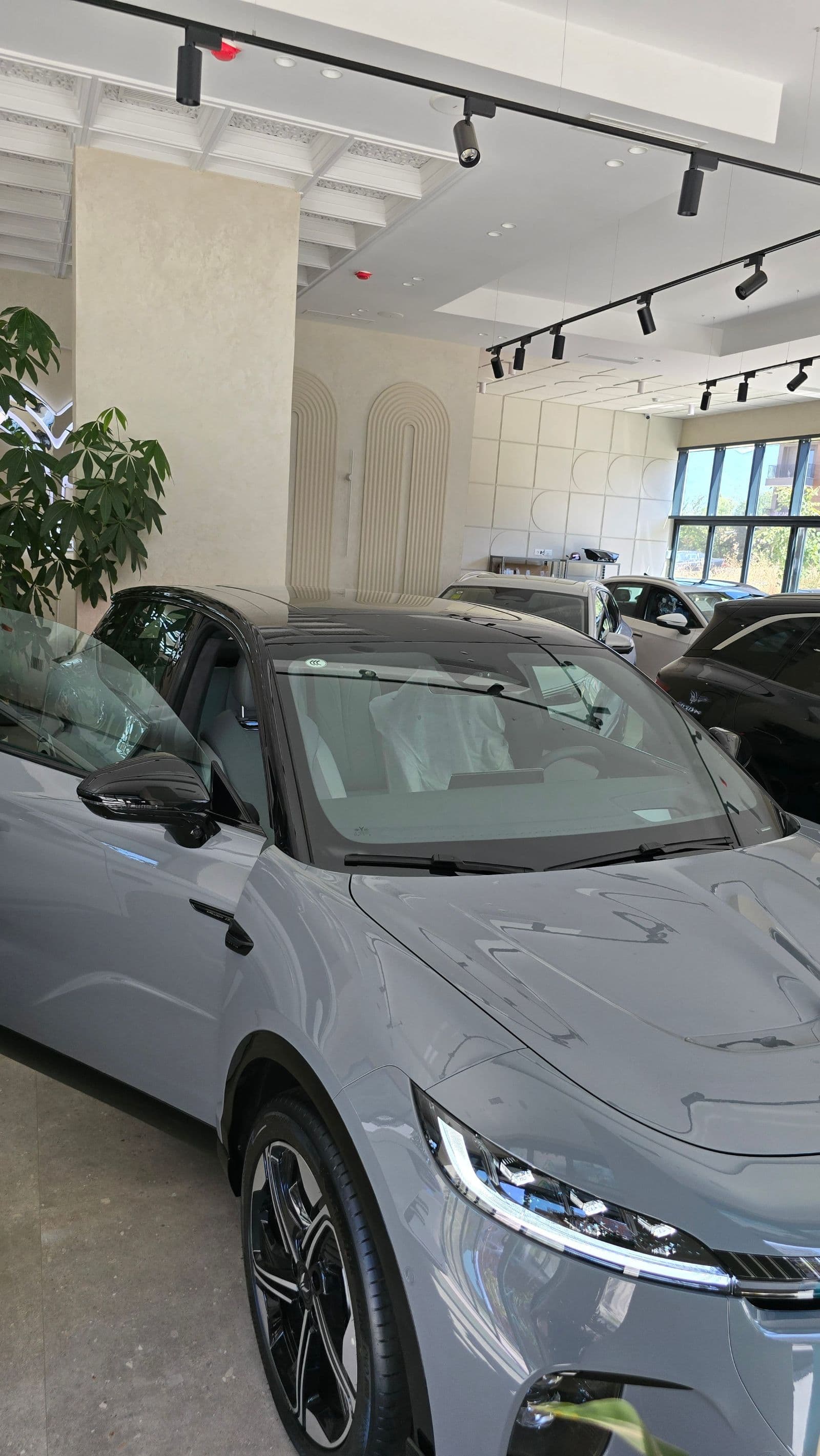 Dongfeng Voyah Courage thumbnail 8