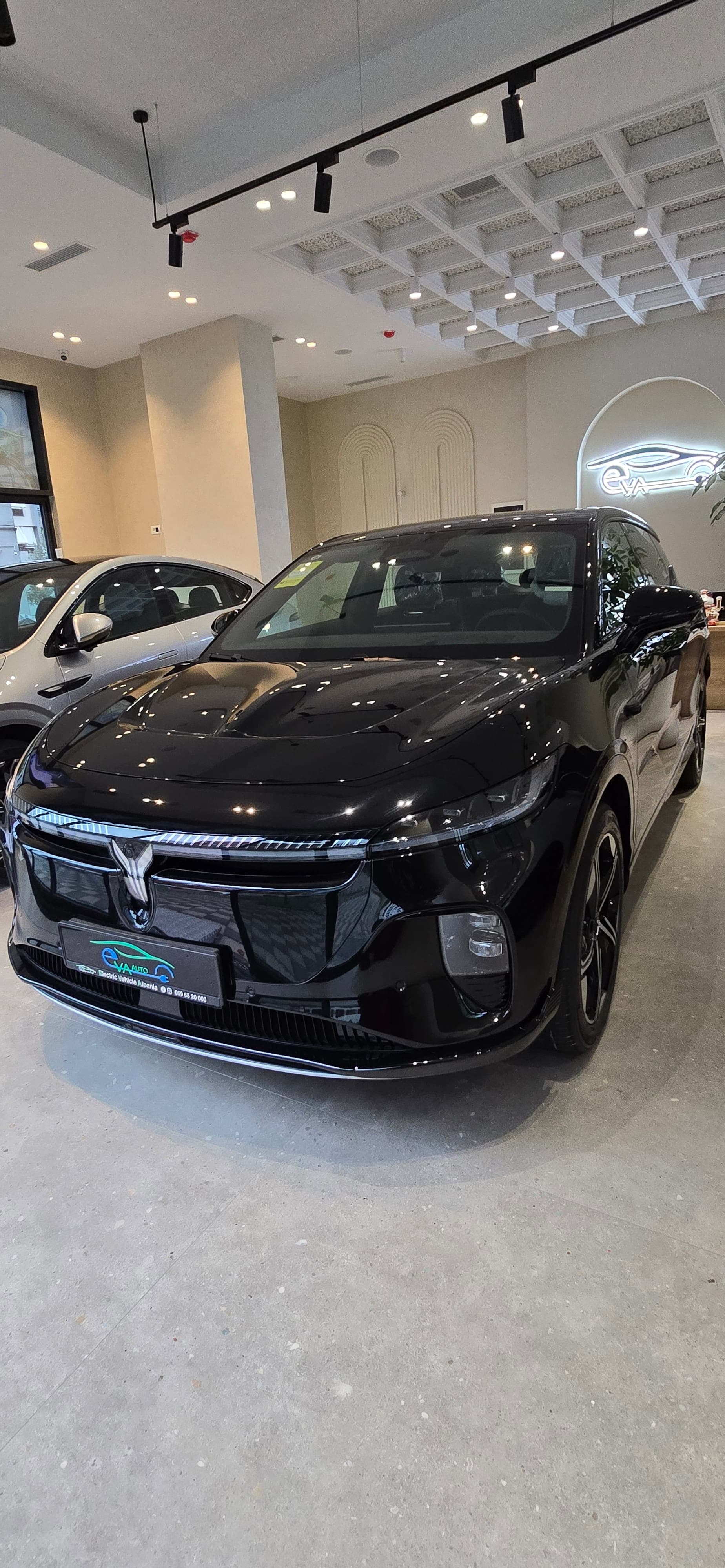 Dongfeng Voyah Courage thumbnail 2